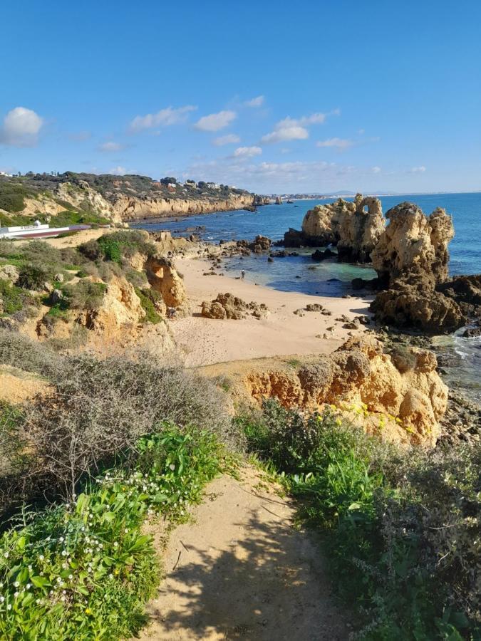 Tropicana One Bedroom Flat T1 In Albufeira Gale Close To 8 Beaches Extérieur photo
